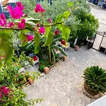 Entire In Villa *